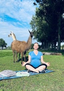 Alpaka-Yoga für Schwangere